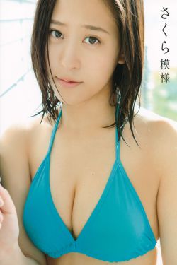 中关村美嘉